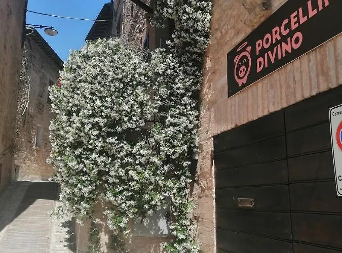 Romantica Casa de hóspedes 3*